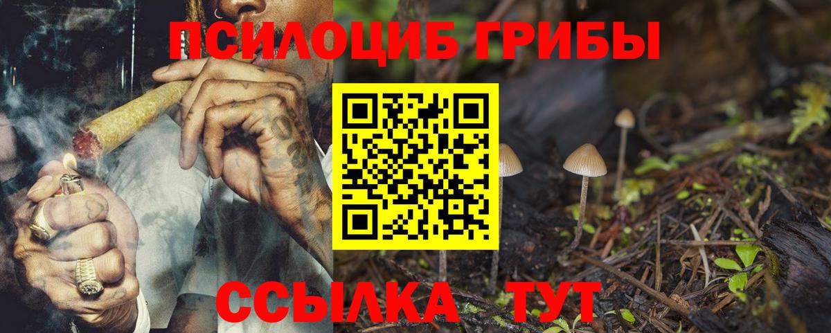 Ефремов  Галлюциногенные грибы мухоморы  Вход с VPN  Псилоцибиновые грибы мицелий 